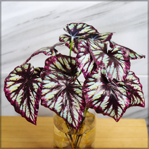 Artificial caladium plant bunch for garden decoration