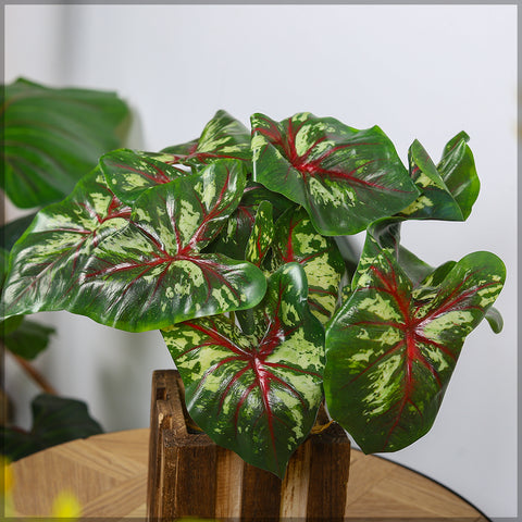 Bunches Artificial Caladium Bush