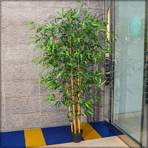 Artificial Bamboo Plant 200cm High adding beauty to a modern living room