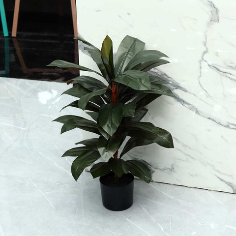 Fake Cordyline Fruticosa plant for home decor