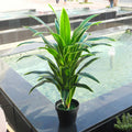 artificial dracaena tree