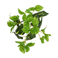 Lifelike artificial money leaf bunch for craft projects