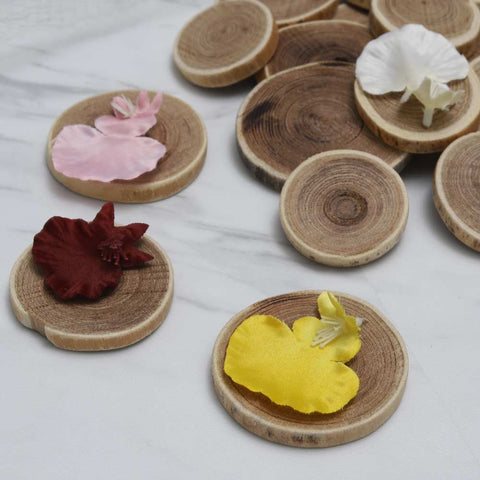 Natural Unfinished Wood Round Slice Chips