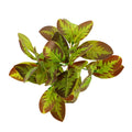 Lifelike artificial brown leaves bunch for event decor