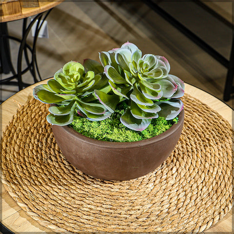 Round concrete planter pot Dubai