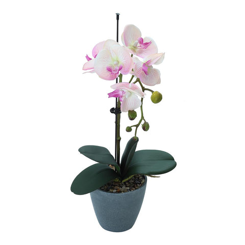 Artificial Potted Phalaenopsis Flower