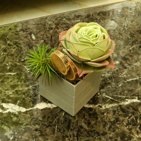 Artificial Potted Succulent Plant