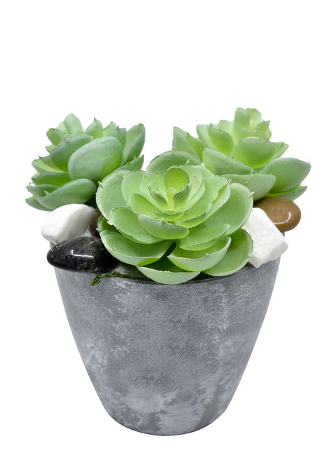 Artificial Green Potted Succulent Plant