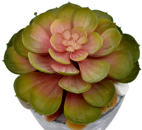 Artificial Pink Succulent Plant Arrangements