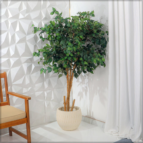 Durable round concrete planter for indoors