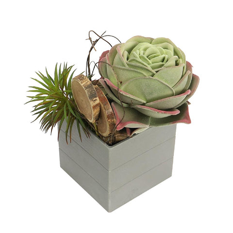 Artificial Potted Succulent Plant