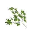 Decorative artificial green leaves