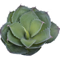 Lifelike artificial agave plant for home decor