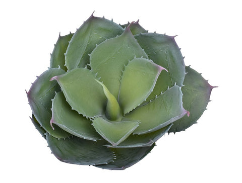 Lifelike artificial agave plant for home decor