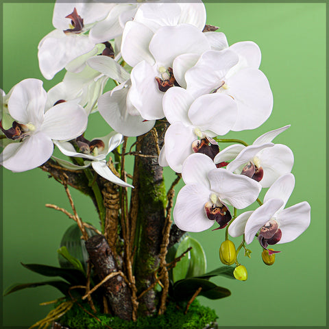 White Artificial Phalaenopsis