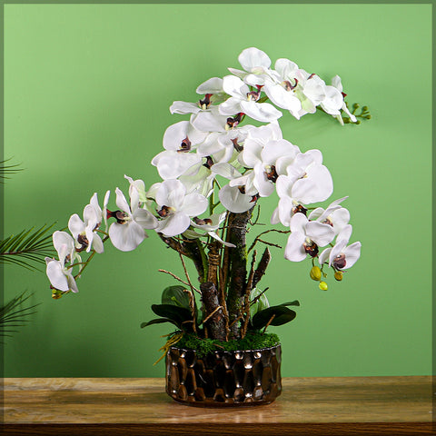 White Artificial Phalaenopsis