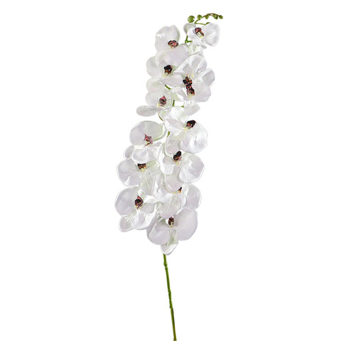 White Artificial Phalaenopsis