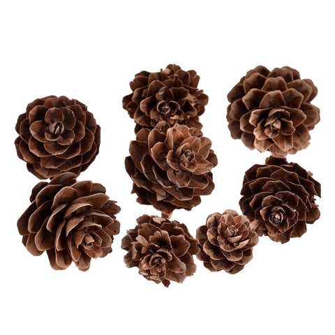 Natural Rustic Pine Cones Brown