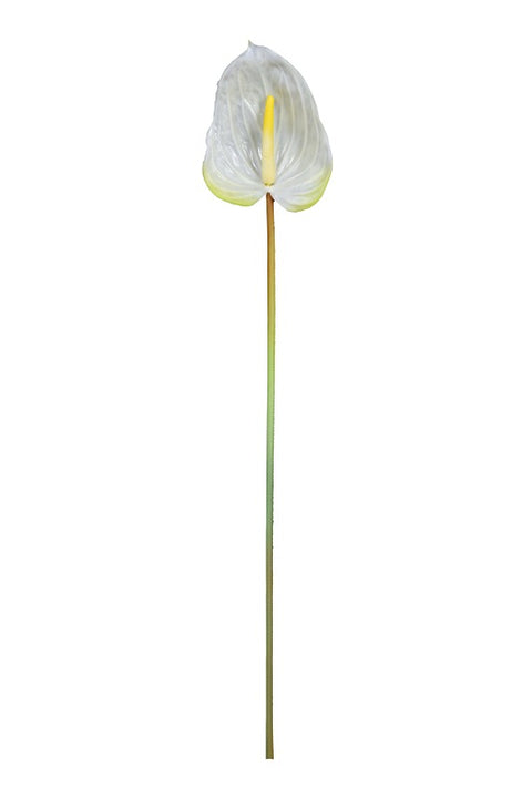 Artificial Anthurium Flowers