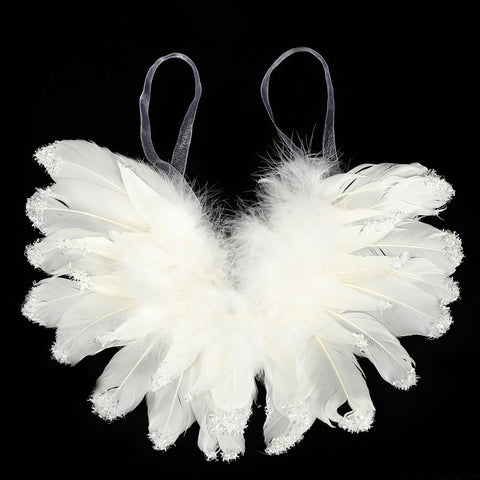 Decorative Fancy Real Wings Feather