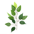 Faux ficus branch with leaves