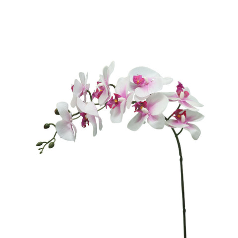 Artificial Real Touch Orchid Flowers-MST-556