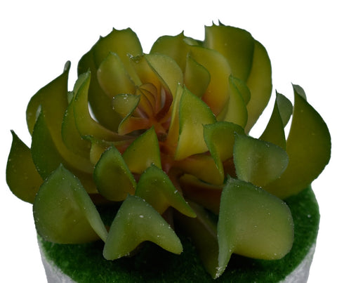 Artificial Succulent Plant Arrangements For Office Home Decor