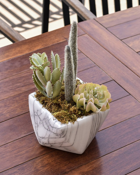 Faux cactus for contemporary décor