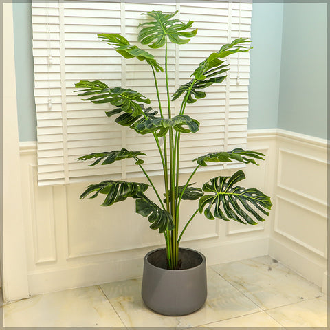 Round concrete planter boxes for indoor use