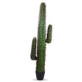 Faux Cactus