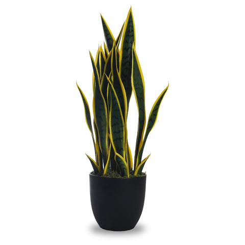 Fake Snake Plant for Indoor Spaces