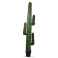 Realistic Faux Cactus