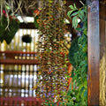 Decorative eucalyptus and ivy garland for walls