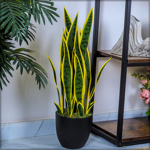 Artificial Snake Plant