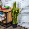 Faux Snake Plant for Home Decor