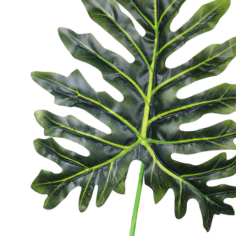 Large philodendron leaf for home decor