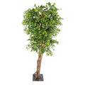 Artificial phyco plant 2.7 m high for indoor decor