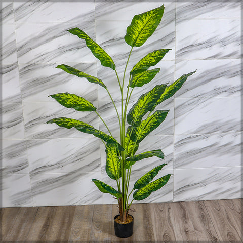 Realistic artificial evergreen plant for indoor spaces in a minimalist room