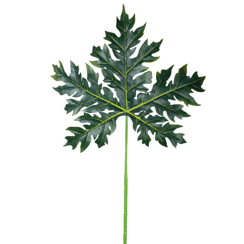 Faux papaya leaf for events