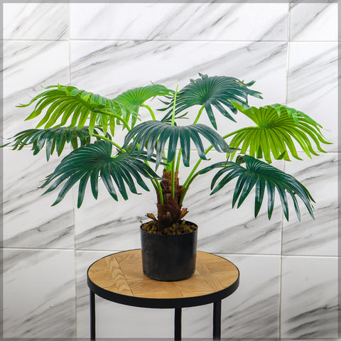 Realistic faux palm tree for indoor spaces in UAE