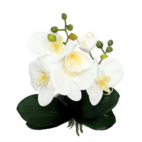 Potted Orchid Flower Arrangement