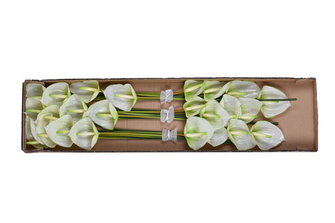 Artificial Anthurium Flowers