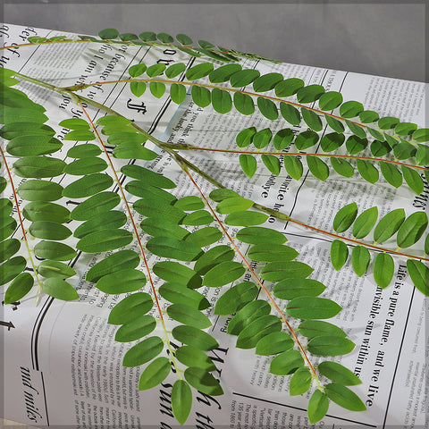 Artificial Acacia Leaves