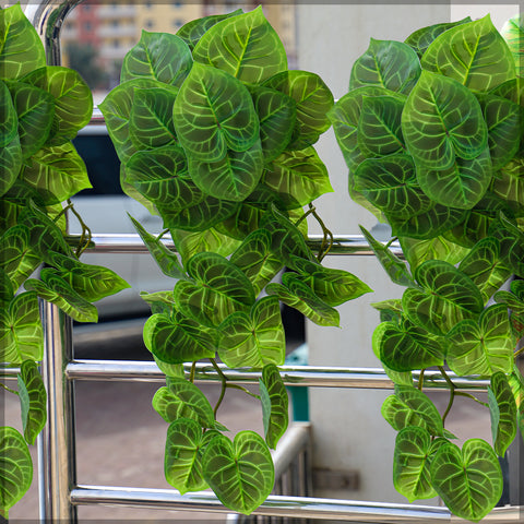 Syngonium leaves hanging decoration