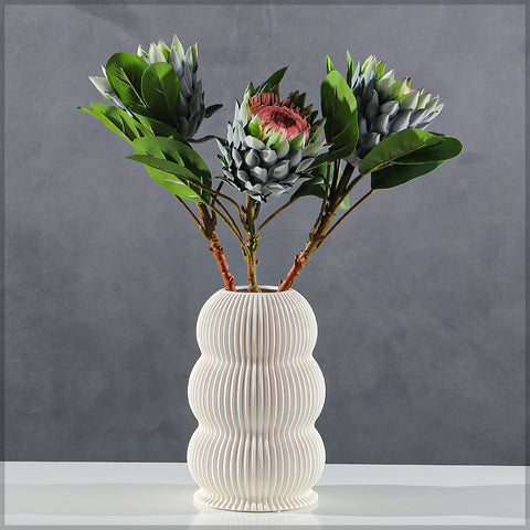 Realistic Flower King Protea Stem with Green Leaves