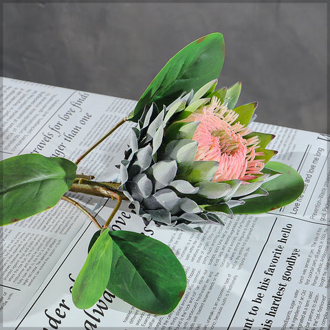 Realistic Flower King Protea Stem with Green Leaves