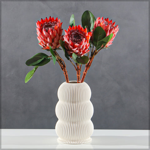 Realistic Flower King Protea Stem with Green Leaves