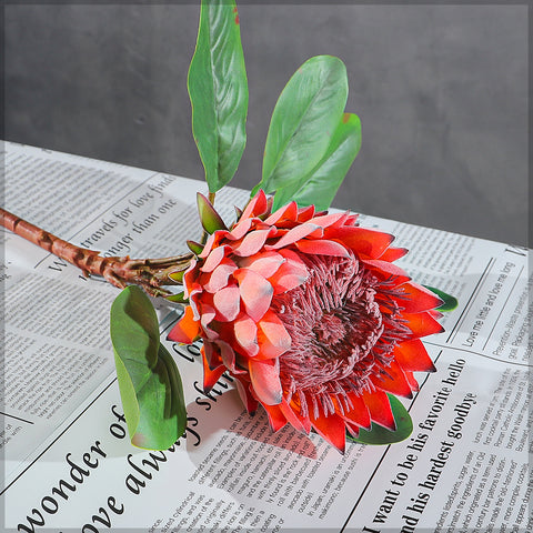 Realistic Flower King Protea Stem with Green Leaves