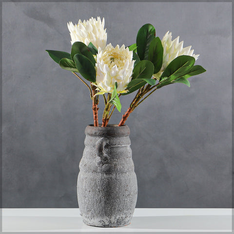 Realistic Flower King Protea Stem with Green Leaves