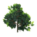 Artificial ficus branches for modern interiors